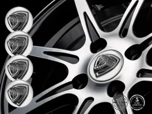 Wheel Stickers Edition Pro Race Quantum Prism